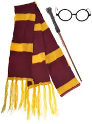 Wizard Boy Costume Accessory Set