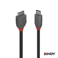 在飛比找蝦皮商城優惠-LINDY 林帝 ANTHRA系列 USB3.2 GEN1 