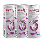 Bravecto Plus Cat Spot-on Purple 6.25-12.5kg 6 pack (6 x tubes)