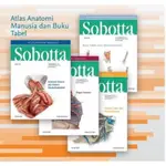 SOBOTTA ATLAS 人體解剖學第 24 版印度尼西亞索博塔第 4 卷