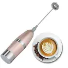 Stainless Steel Drink Mixer With Double Spring Spiral Whisk Milk Frother 。