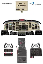 Beechraft King Air B200 Cockpit Poster CAE 24in x 36in