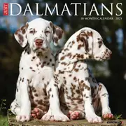 2025 Just Dalmations Wall Calendar
