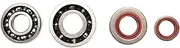 Crankshaft Crank Bearing Oil Seals Kit for STIHL Ms660 066 Chainsaws Parts Replace 9640 003 1850, 9640 003 1560