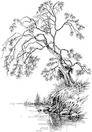 Big Tree Grass Lake Clear Stamps Fall Trees Pattern Transparent Seal Stamps for Holiday Card Making Decoration and DIY Scrapbooking Album DIY Crafts