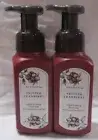Bath & Body Works Gentle Foaming Hand Soap Lot Set of 2 FROSTED CRANBERRY