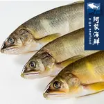 【阿家海鮮】特選宜蘭公香魚(10尾) 1KG±10%/盒