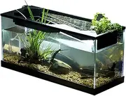 Tabletop Plant System - Transparent Desktop Tank Water Pump System, Indoor Hydroponic Plant Holder | Reptile Terrarium with Flow Circulation Setup, Space-Saving Bowl for Office Shelf Living Room