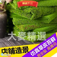 在飛比找蝦皮商城精選優惠-💯台灣出貨💯diy人造苔蘚草坪 仿真苔蘚青苔 草皮 假苔蘚 