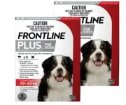 Frontline Plus Extra Large Dog 12 Pack - 40-60kg (2 x 6pks)