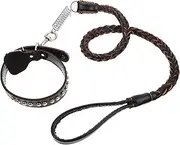 COLLBATH Leather Pet Walking Rope Large Dog Collar Leash Set Medium Size Traction