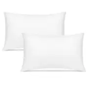 Linenova 100% Bamboo Standard Pillowcase 2 Pack