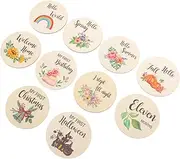 Totority 1 Set Wooden Monthly Name Sign for Growth Milestone Wooden Growth Signs Month Milestone