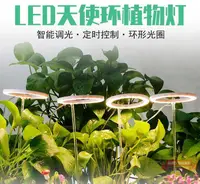 在飛比找樂天市場購物網優惠-植物燈 室內植物燈led全光譜生長燈天使環植物補光燈多肉家用