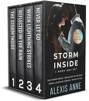 The Storm Inside Box Set: a second chance romance four book box set
