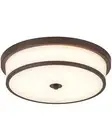 16 inch Flush Mount Ceiling Light 3-Light Close to Ceiling Light Fixtures wit...