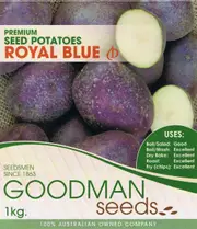 Buy Potato - Royal Blue Tubers to Grow Yourself (Solanum tuberosum)