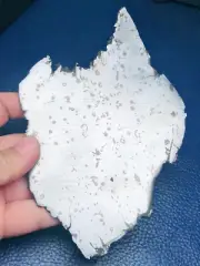 213g Russia dronino iron meteorite thin slice