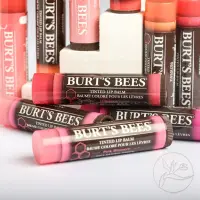 在飛比找蝦皮購物優惠-🍁加拿大 Burt's Bees 蜜蜂爺爺 塗鴉彩色唇膏 T