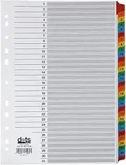 dots register Mylar with colorful tabs 1-31