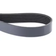 AGCO (OEM) 4350583M2 Serpentine Belt for Massey Ferguson and Challenger Tractors