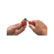 Joie Strawberry Slicer & Huller