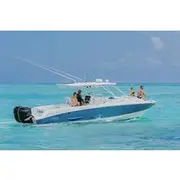 Save 35.00%! Half-Day Private Stingray City Charter - Grand Cayman - BTC
