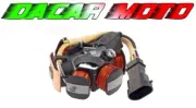 Flywheel stator PIAGGIO NRG POWER DD 50 2015 RMS 246350072