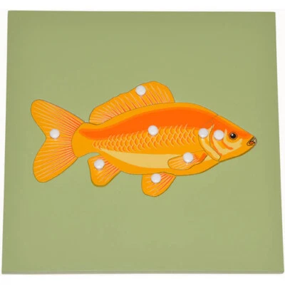 MONTESSORI FISH Educational Wooden Preschool Knob PUZZLE Skeleton ZOOLOGY