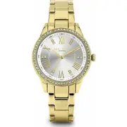 Womens Watch by Daisy Dixon Dd106gm 35 Mm