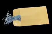 ROLLER ORGAN COB REPLACEMENT PINS (250 pcs.)