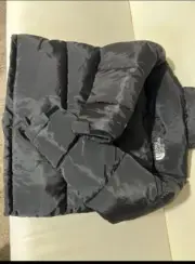 The North Face Men's 1996 Retro Nuptse 700