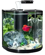 Aqua One BT 10 Betta Glass Aquarium Set 10L Black 56295BK