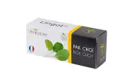 Veritable Lingot Bok choi Organic