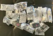 Paparazzi Jewelry Lot NWT NOB 20 Pieces