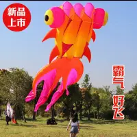 在飛比找蝦皮購物優惠-軟體風箏金魚9米 二手