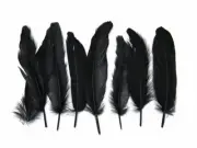 USA SELLER | 1 Pack - Black Goose Satinettes loose feathers 0.3 oz. Craft Art