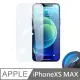 鑽石級 10D 抗藍光滿版玻璃保護貼 抗藍光玻璃貼 滿版玻璃貼 適用 iPhone XS MAX - 6.5吋
