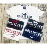 【HUANG-RL】💯開立發票💯HCO HOLLISTER 海鷗 大LOGO 圓領 素T 短T 成人版  白色 92