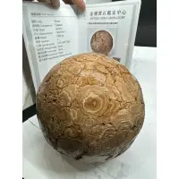 在飛比找蝦皮購物優惠-D9536 收藏品 天然泰國龍宮舍利原礦 老料 靈骨舍利 附