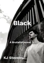 Black by Kj Stevens Paperback Book