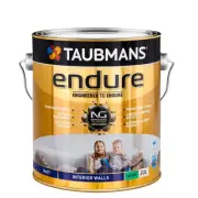 taubmans 2l accent matt endure interior wall paint