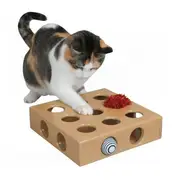Smartcat Peek and Play Toy