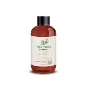 Soapbox, Tea Tree Clean & Purify Shampoo, 3.3 Fl Oz