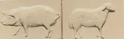 Pratt & Larson Rare Handmade Decorative Hog & Sheep Relief Tiles 2pcs
