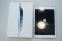 在飛比找露天拍賣優惠-APPLE ipad mini 銀色16G 平板電腦(盒裝)