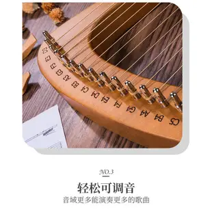 【OSLE】土城現貨 拇指琴 16弦萊雅琴小豎琴箜篌初學者小型里拉琴小眾樂器便攜式易學樂器音樂