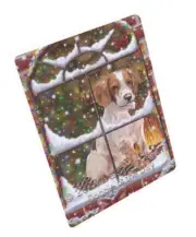 Come Home For Christmas Brittany Spaniel Dog Woven Throw Sherpa Blanket T148