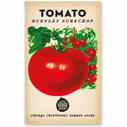 Little Veggie Patch Tomato 'Burnley Surecrop' Heirloom Seeds