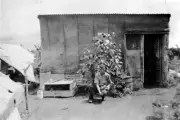 Farm house built hessian bags Red Cliffs District Victoria 1937 OLD PHOTO
